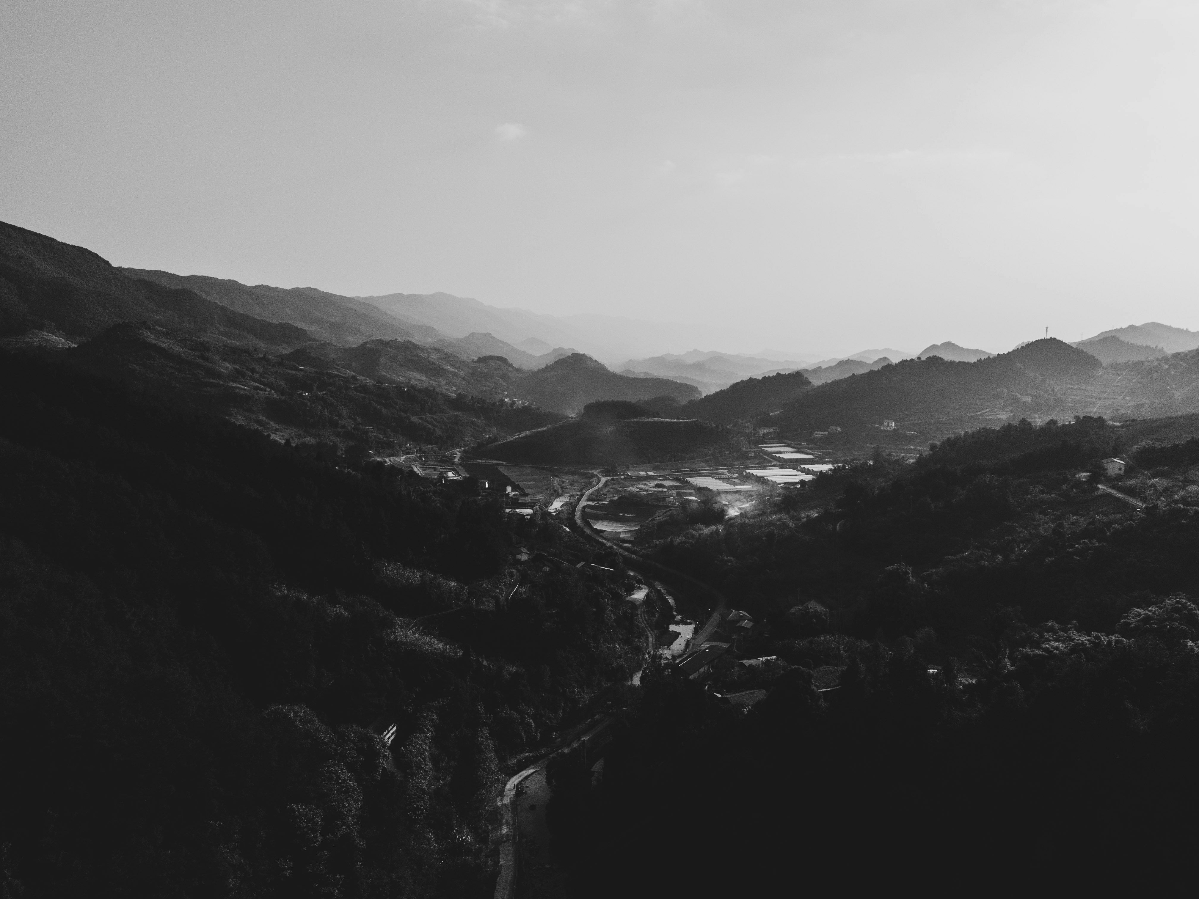 Photo by xingchenyan