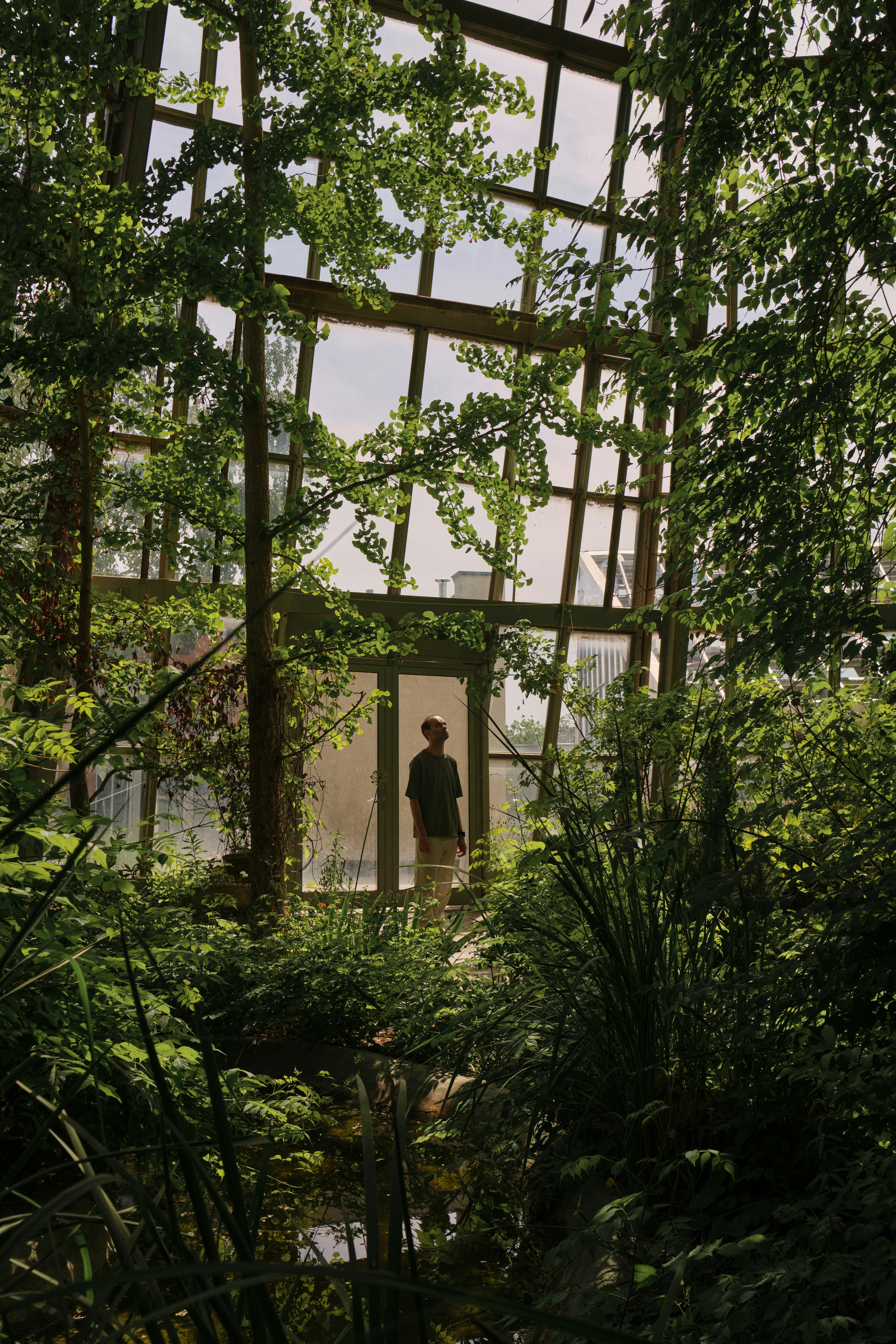 Botanical Garden and Museum photo 2