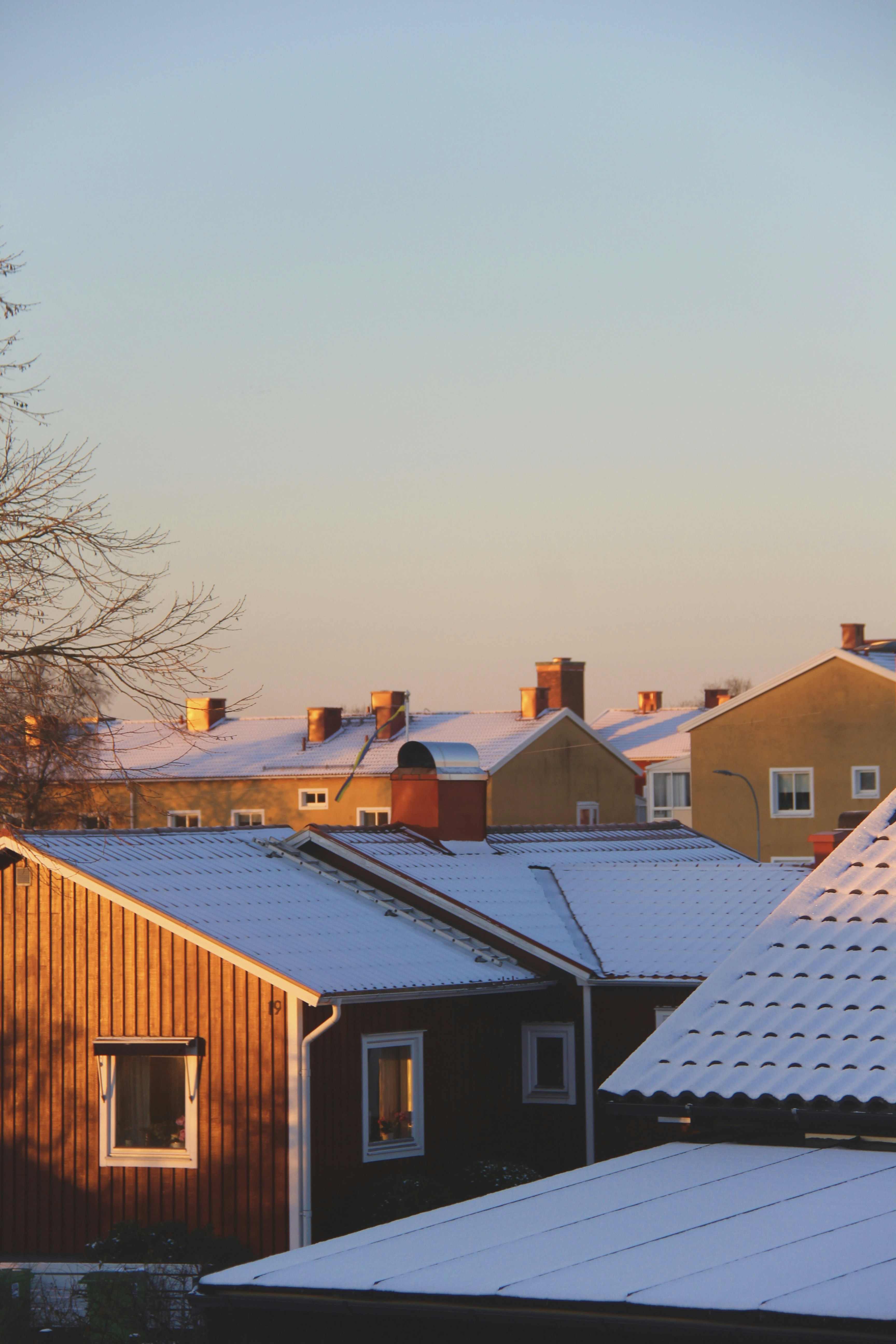 a row of houses covered in snow next to a tree