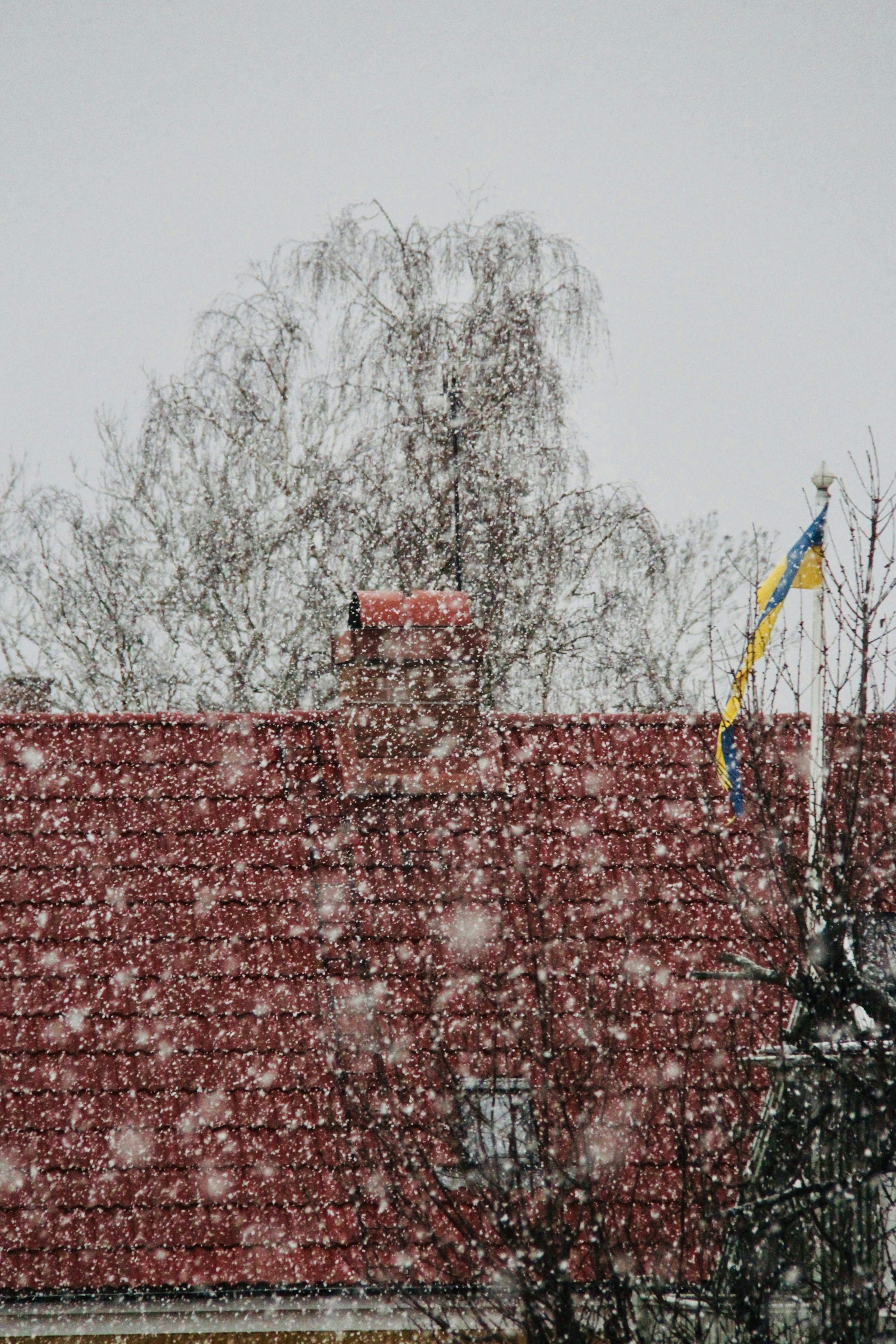 a red roof with a flag on top of it