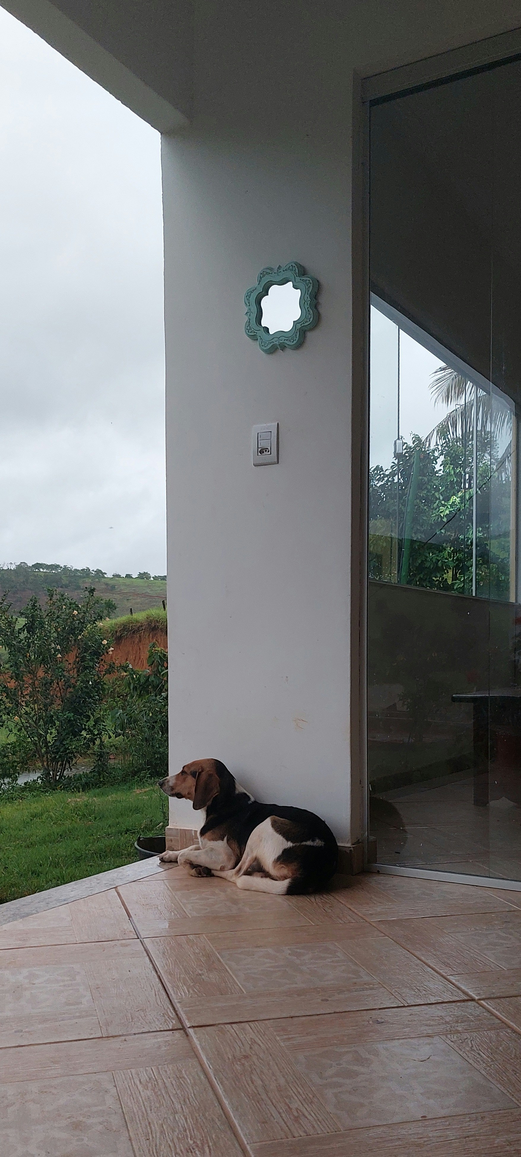 a dog laying on the ground in front of a door
