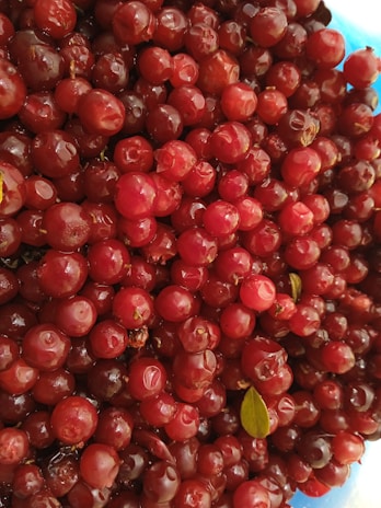 A close-up of colorful berries nestled among green leaves, freshly picked.