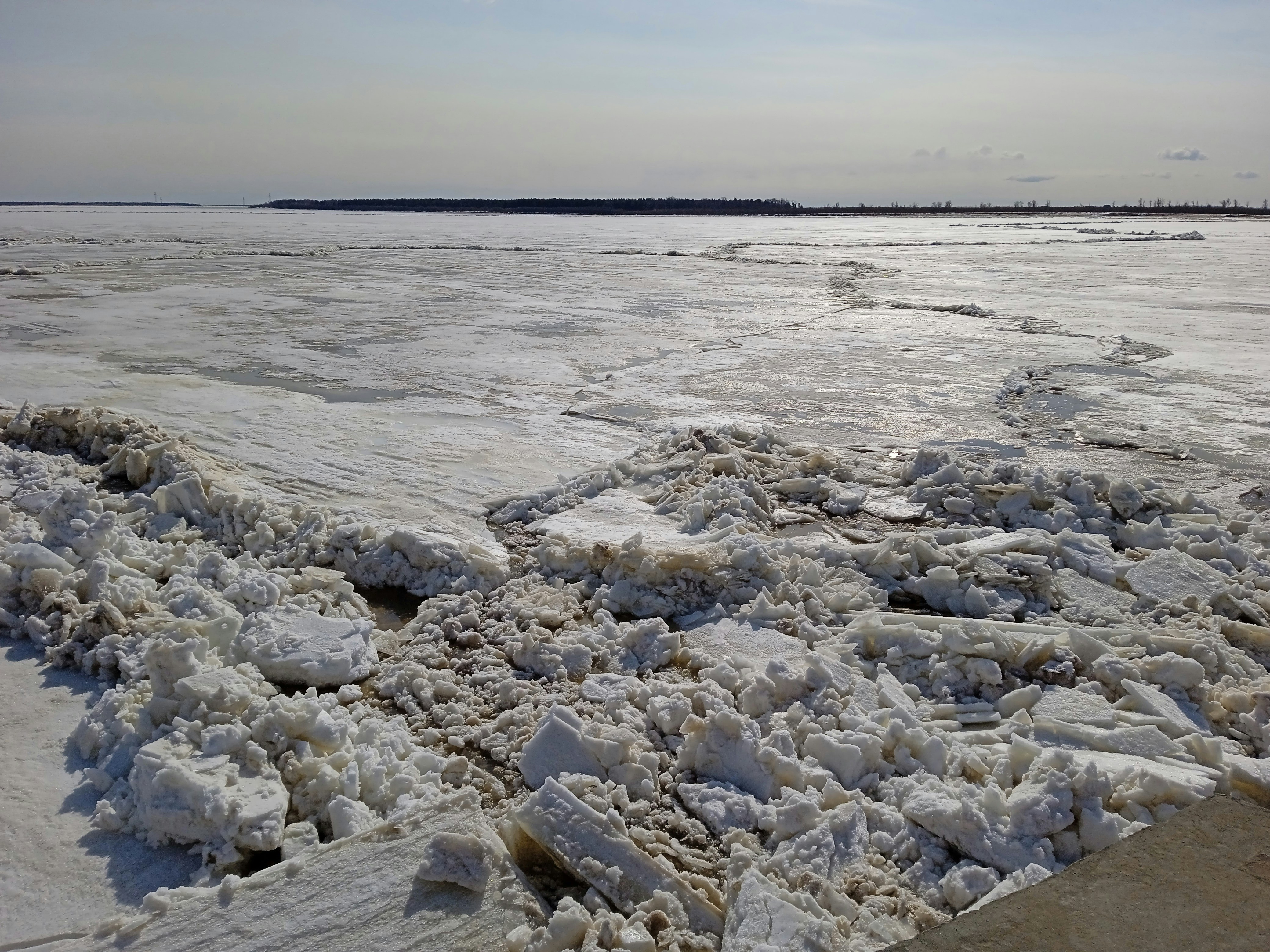 Photo by thehouseofthewitch