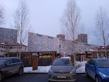 A residential urban landscape with several multi-story apartment buildings visible in the background. The foreground includes parked cars and bare trees, characteristic of winter, with a light dusting of snow on the ground. The sky is overcast, giving a muted appearance.