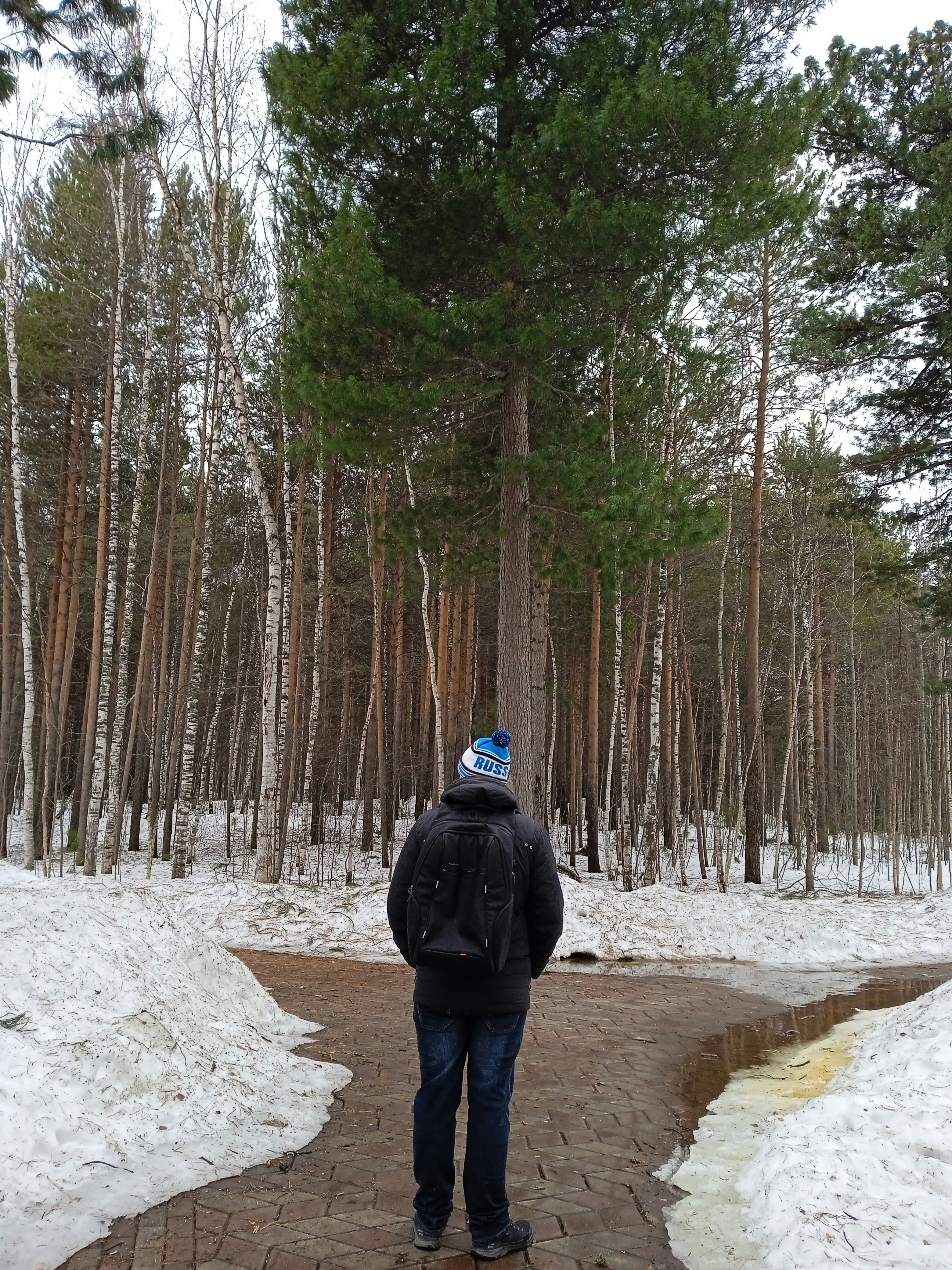 A man walking down a path in the woods photo – Free Vegetation Image on ...