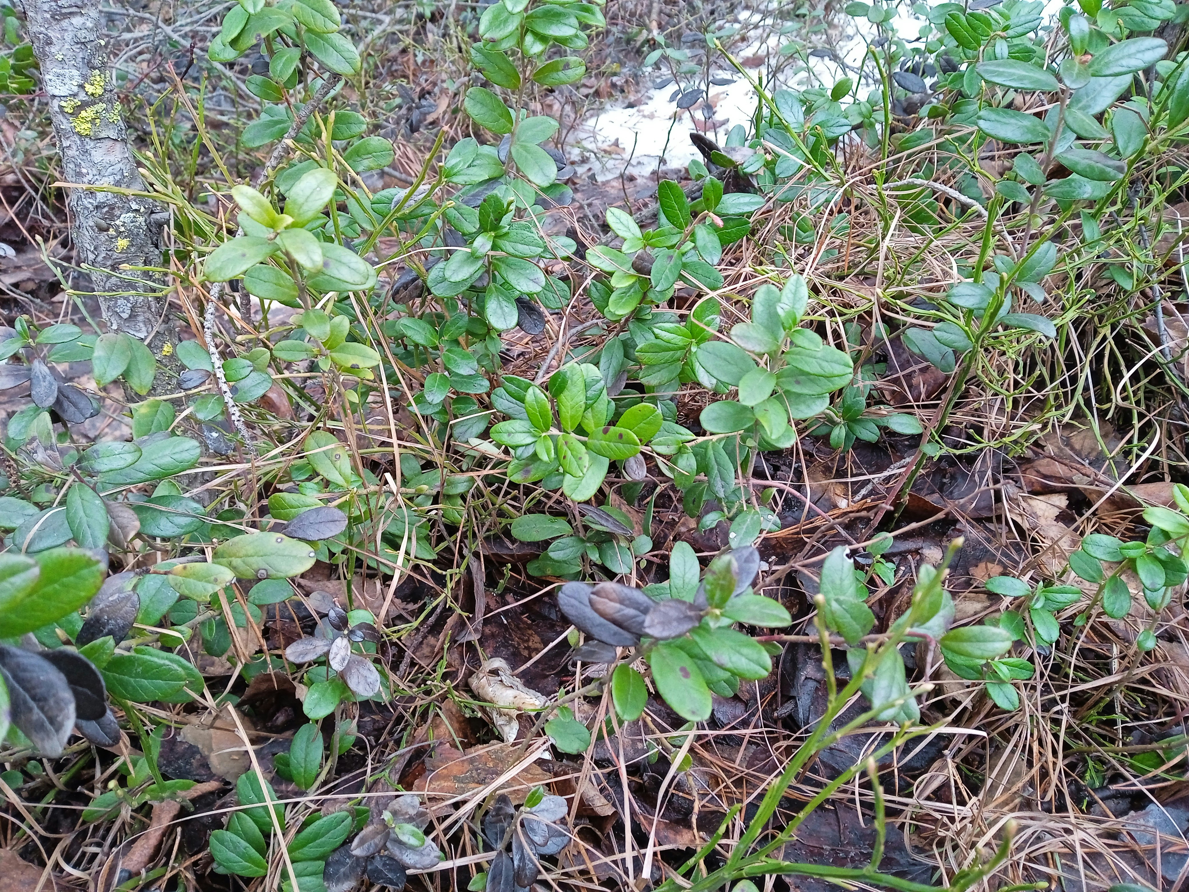 Photo by thehouseofthewitch