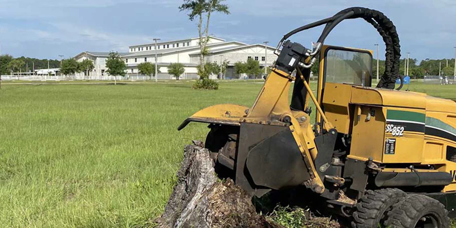 Professional using standard stump grinder on residential property