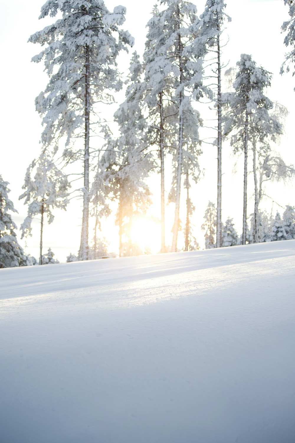 a man riding a snowboard down a snow covered slope