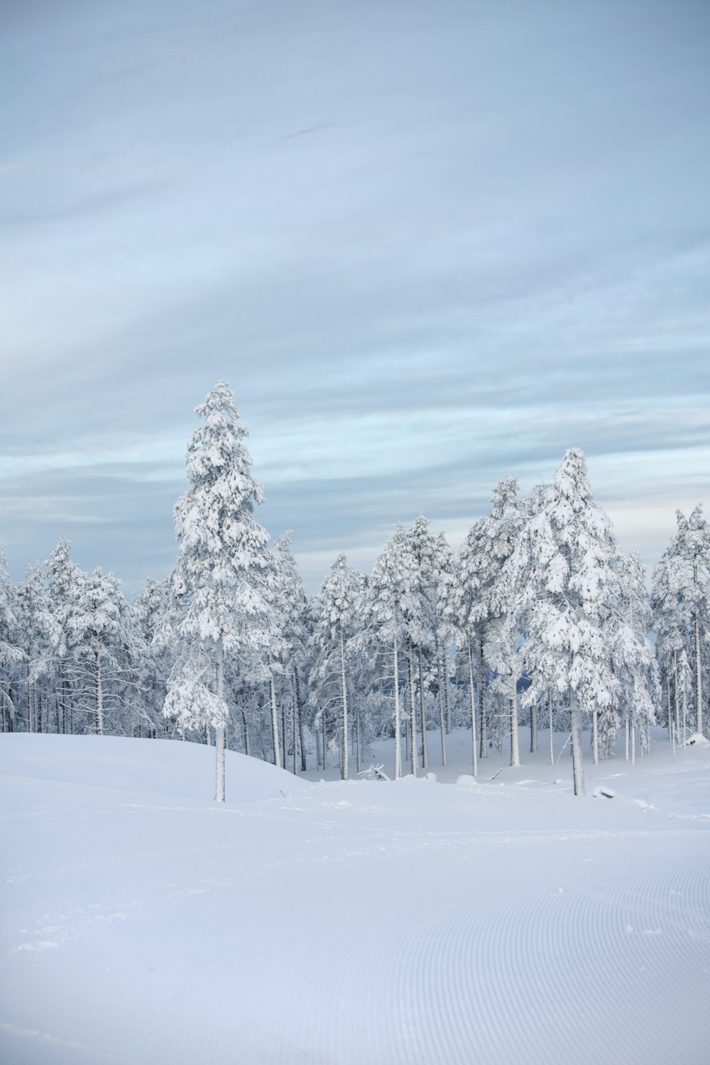 a person riding skis on a snowy surface