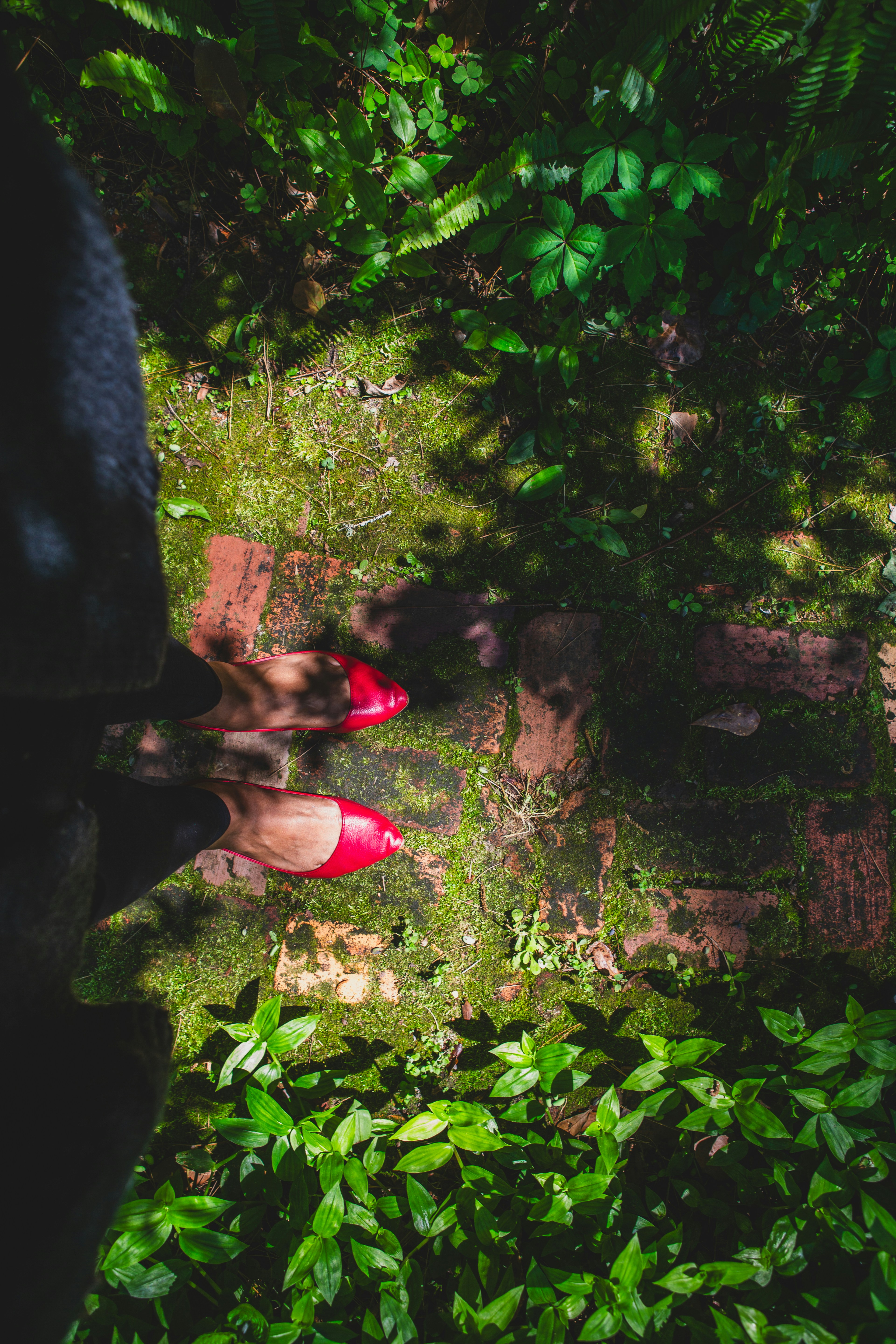 Barefoot Bliss Shoes