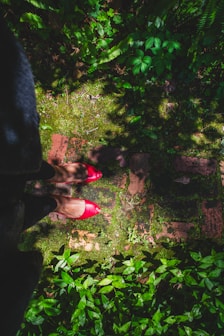 Sunlight filtering through garden leaves onto a pair of chic, pastel-toned shoes placed on a stone path.