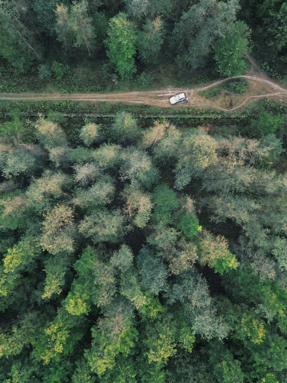 an aerial view of a truck driving through a forest