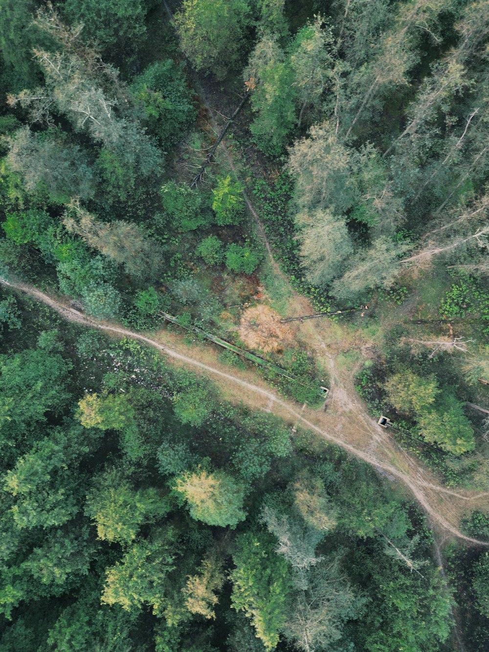 an aerial view of a road in the middle of a forest