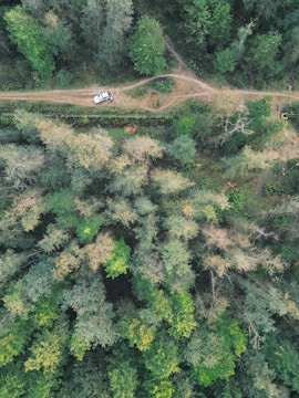 A drone shot capturing a winding trail through lush forests with ATVs parked nearby.
