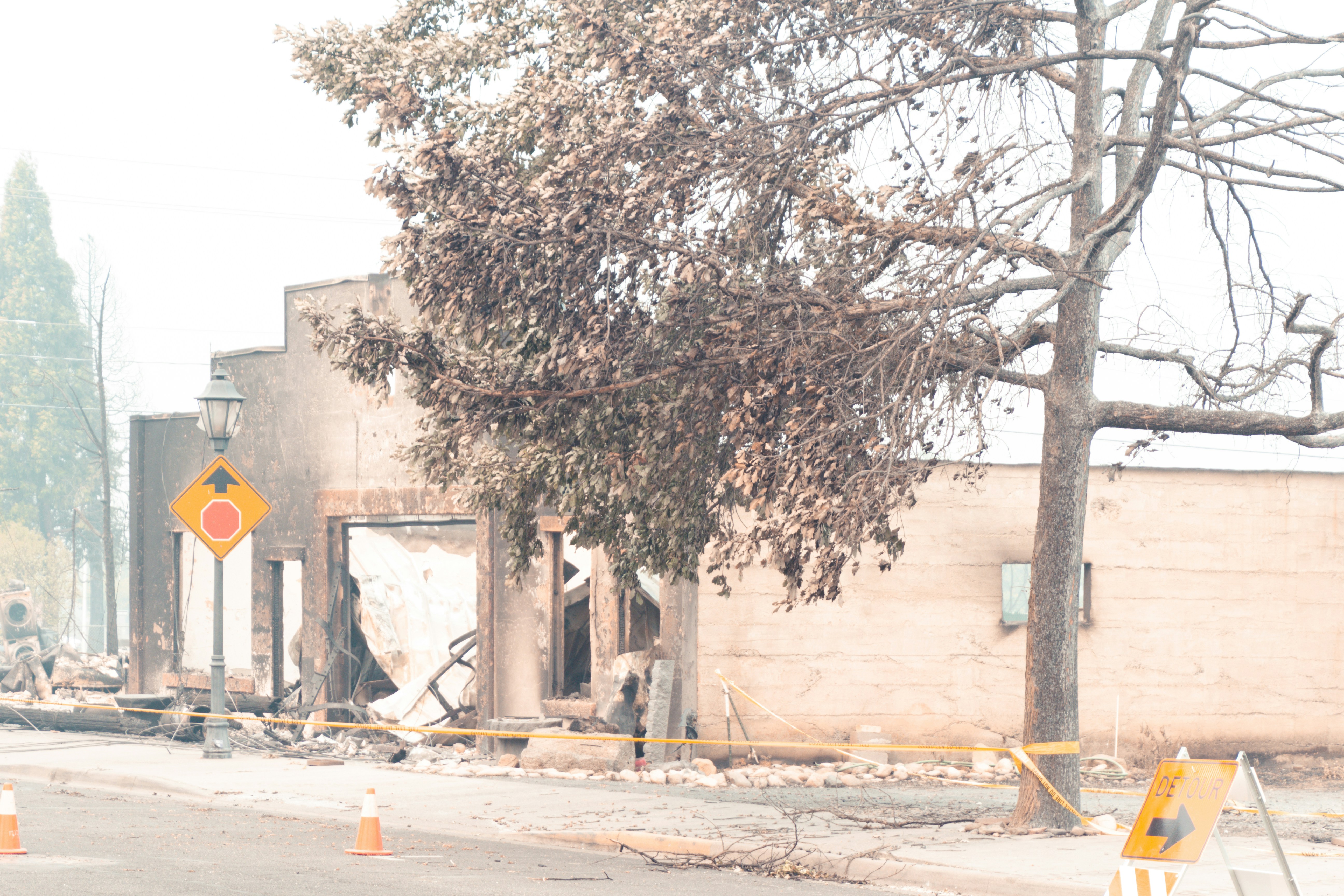 a building that has been gutted down with a tree in front of it