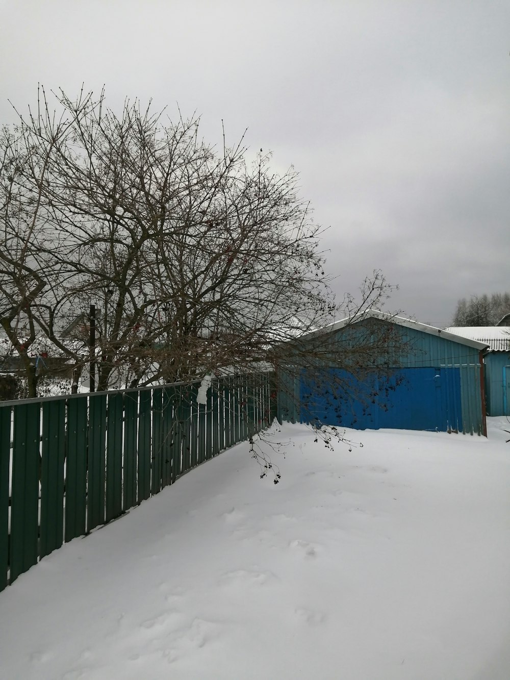 a fence and a tree covered in snow