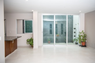 A sleek aluminum sliding door opening to a bright patio garden.