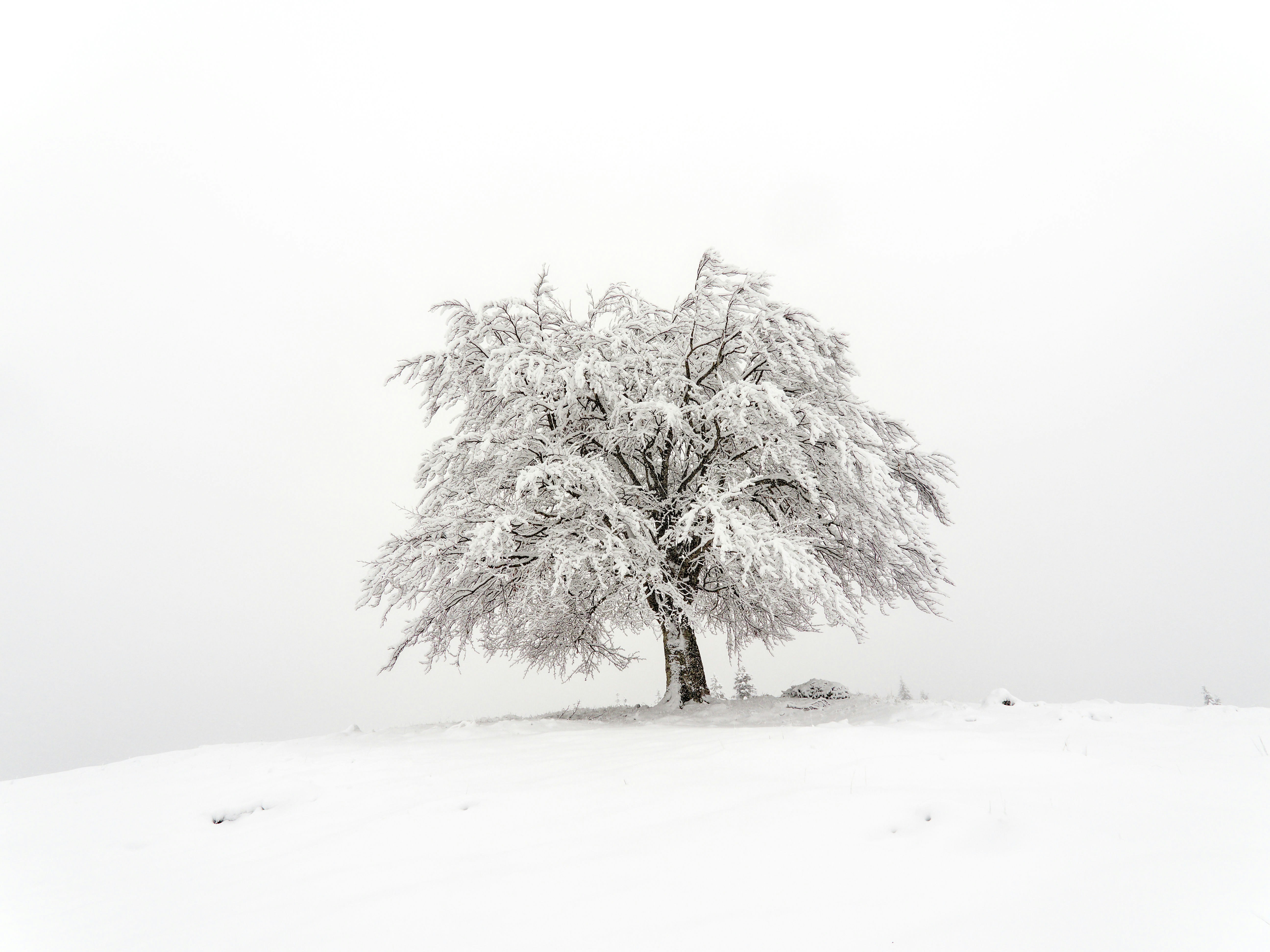 The Quiet Place Where Poems Speak 