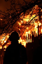 A silhouette of a firefighter is visible against the backdrop of intense, roaring flames. The fire illuminates the scene, with branches of a tree in the foreground creating a striking contrast between light and shadow.