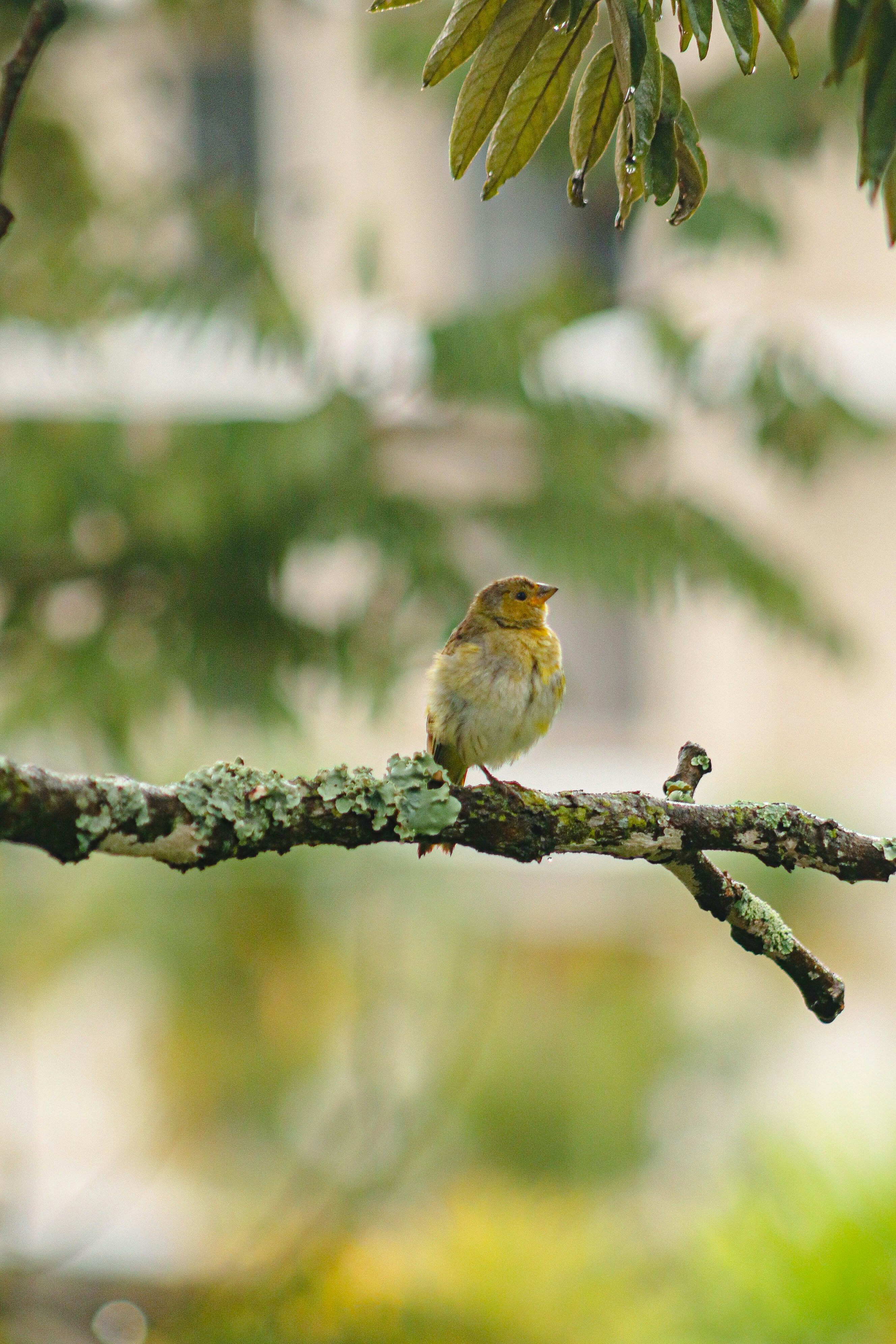 Photo by ribeiro__jean