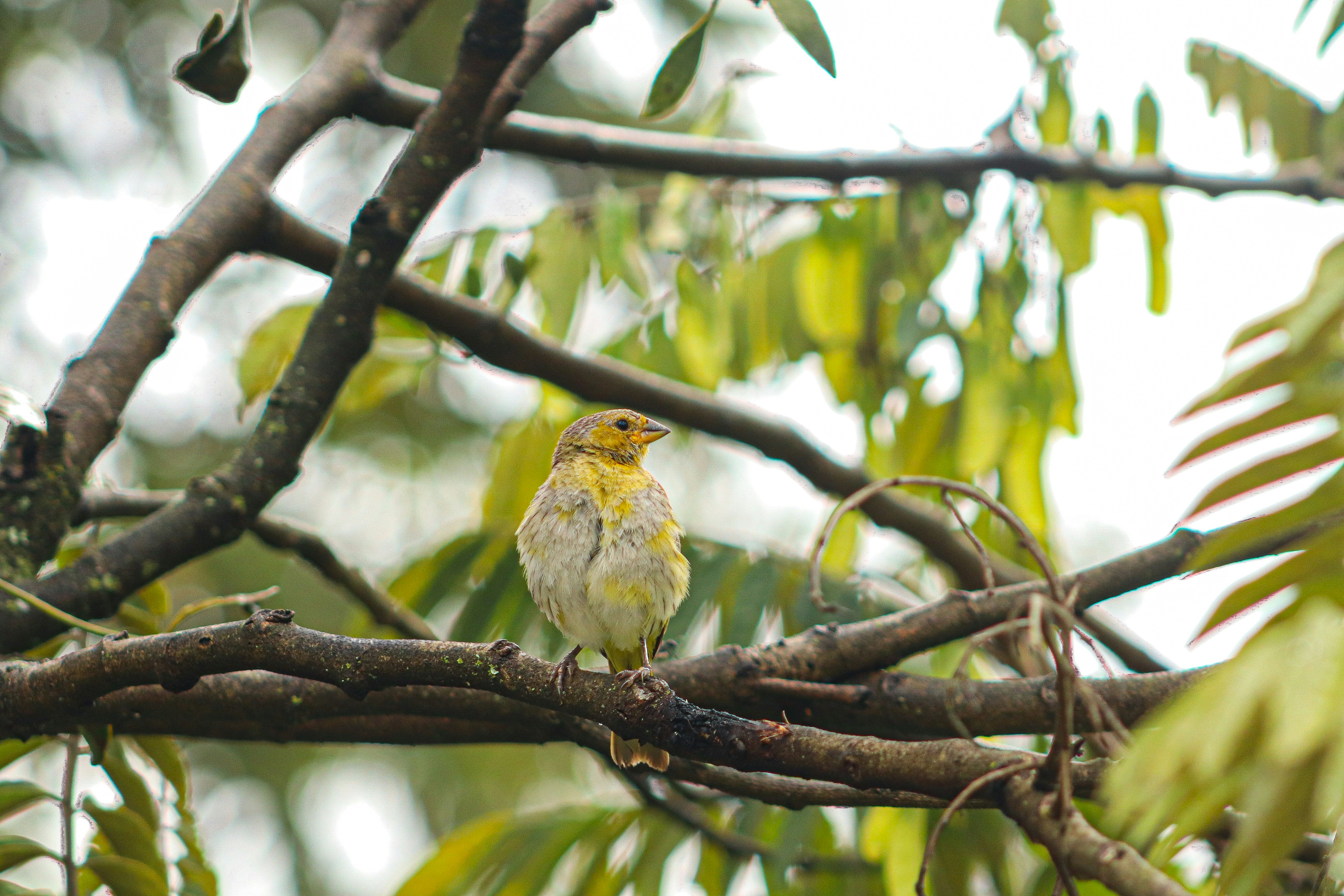 Photo by ribeiro__jean