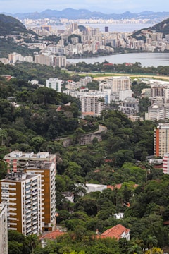 A sprawling urban landscape with a mixture of densely packed residential buildings and lush greenery. The city sprawls across the foreground with high-rise apartments and office buildings interspersed with parks and wooded areas. In the background, a body of water is visible, beyond which a distant cityscape merges with mountainous terrain under a partly cloudy sky.