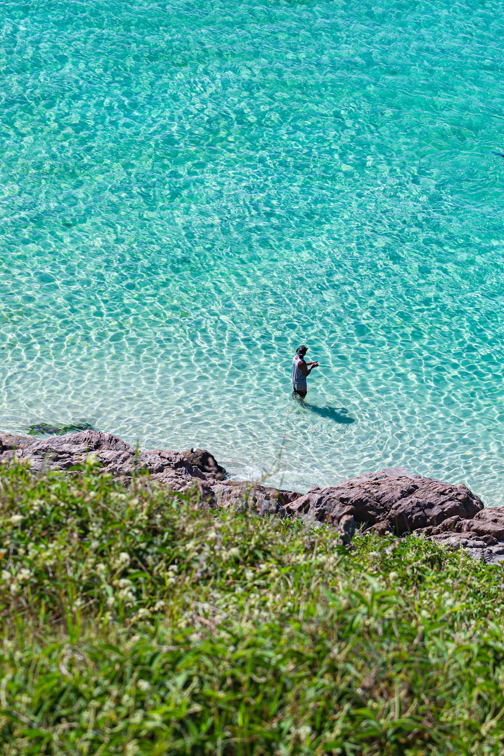 a person standing in the water near the shore