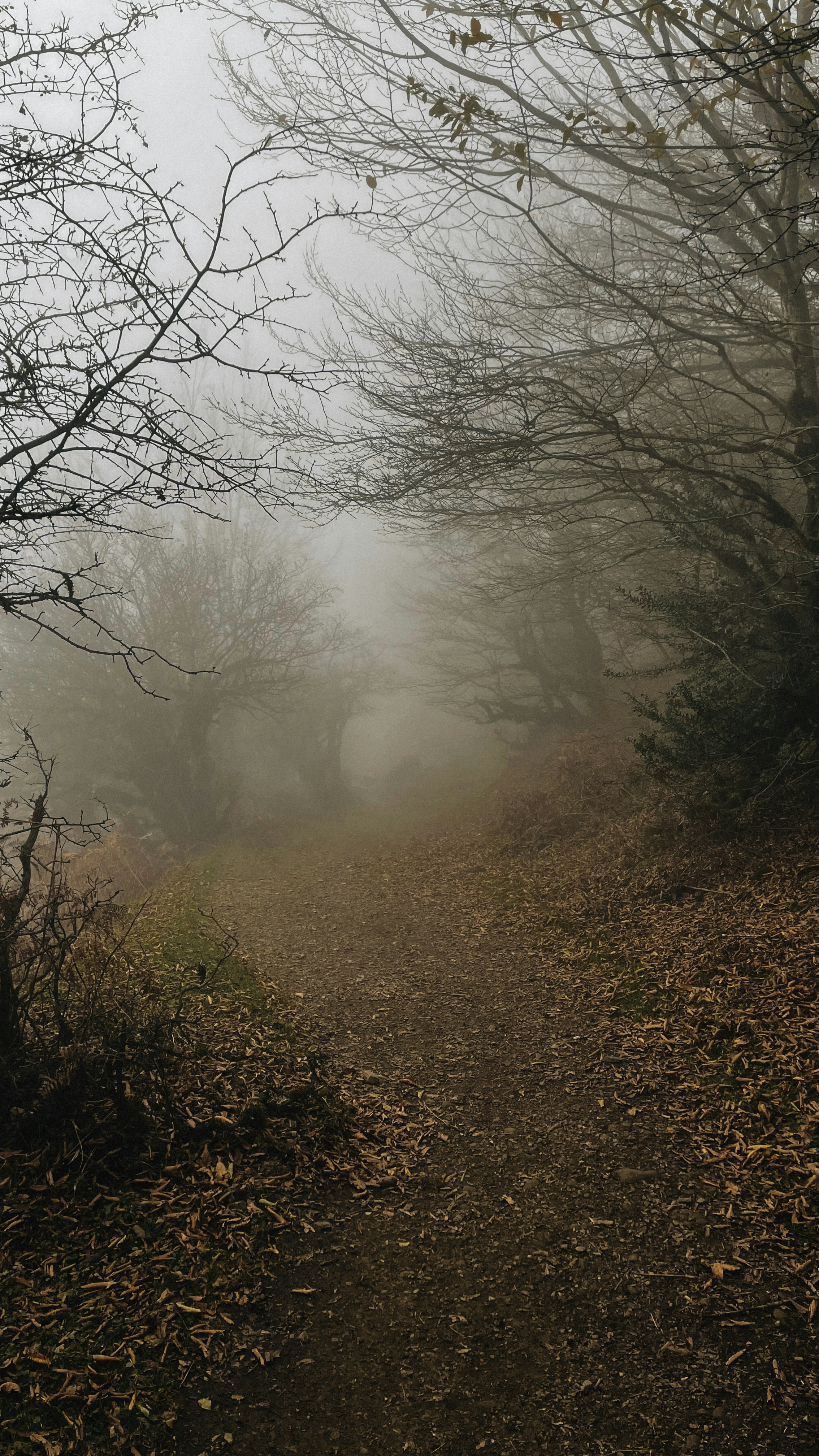 Photo by sepehrsafaridesign