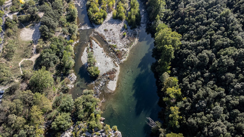 an aerial view of a river surrounded by trees