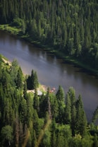 Aerial view of a dense forest with a river cutting through it. The riverbanks are bordered by tall, lush evergreen trees. There is a small clearing on one side of the river with a few visible structures and a red vehicle or boat.