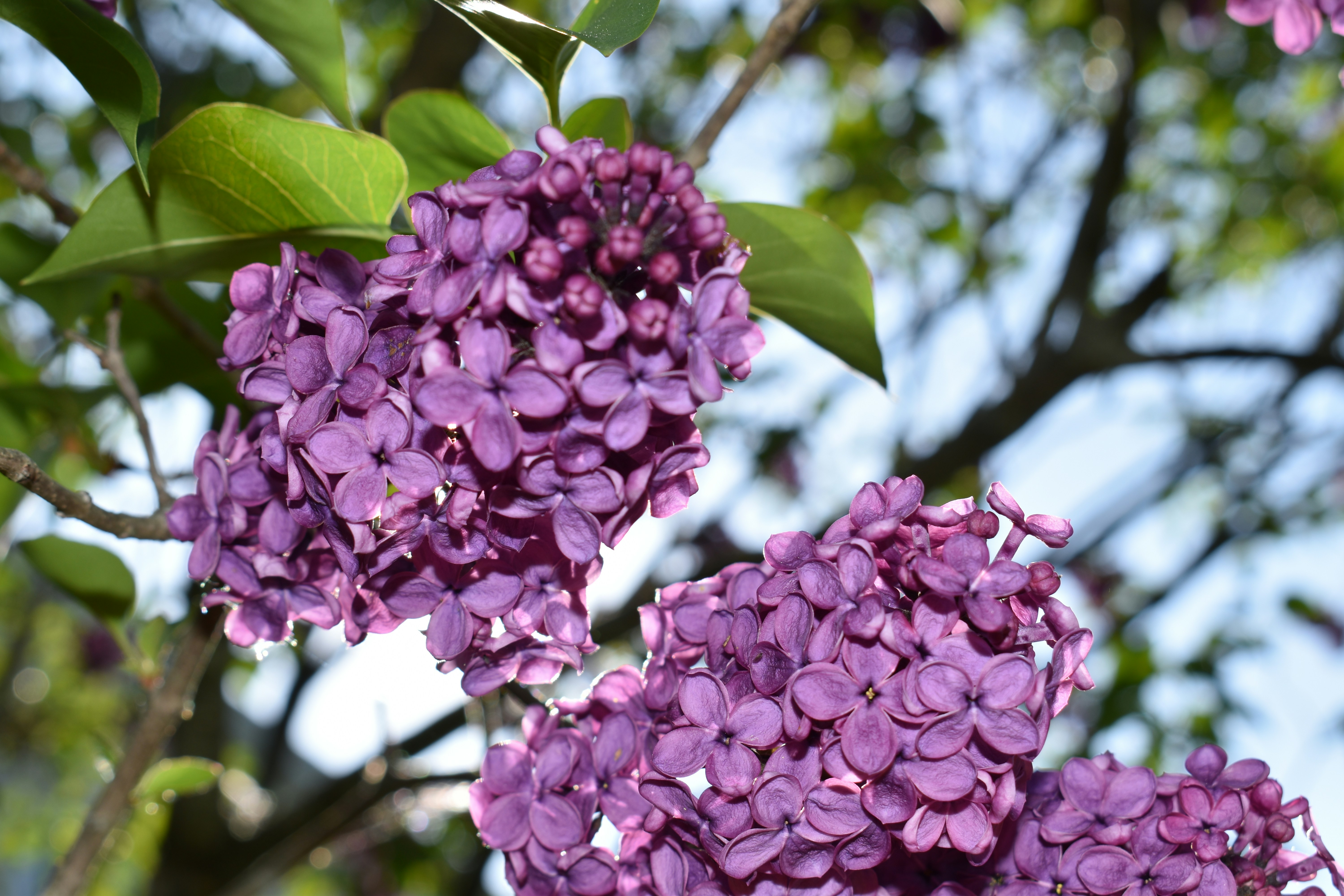 Photo by atiliarmadilla