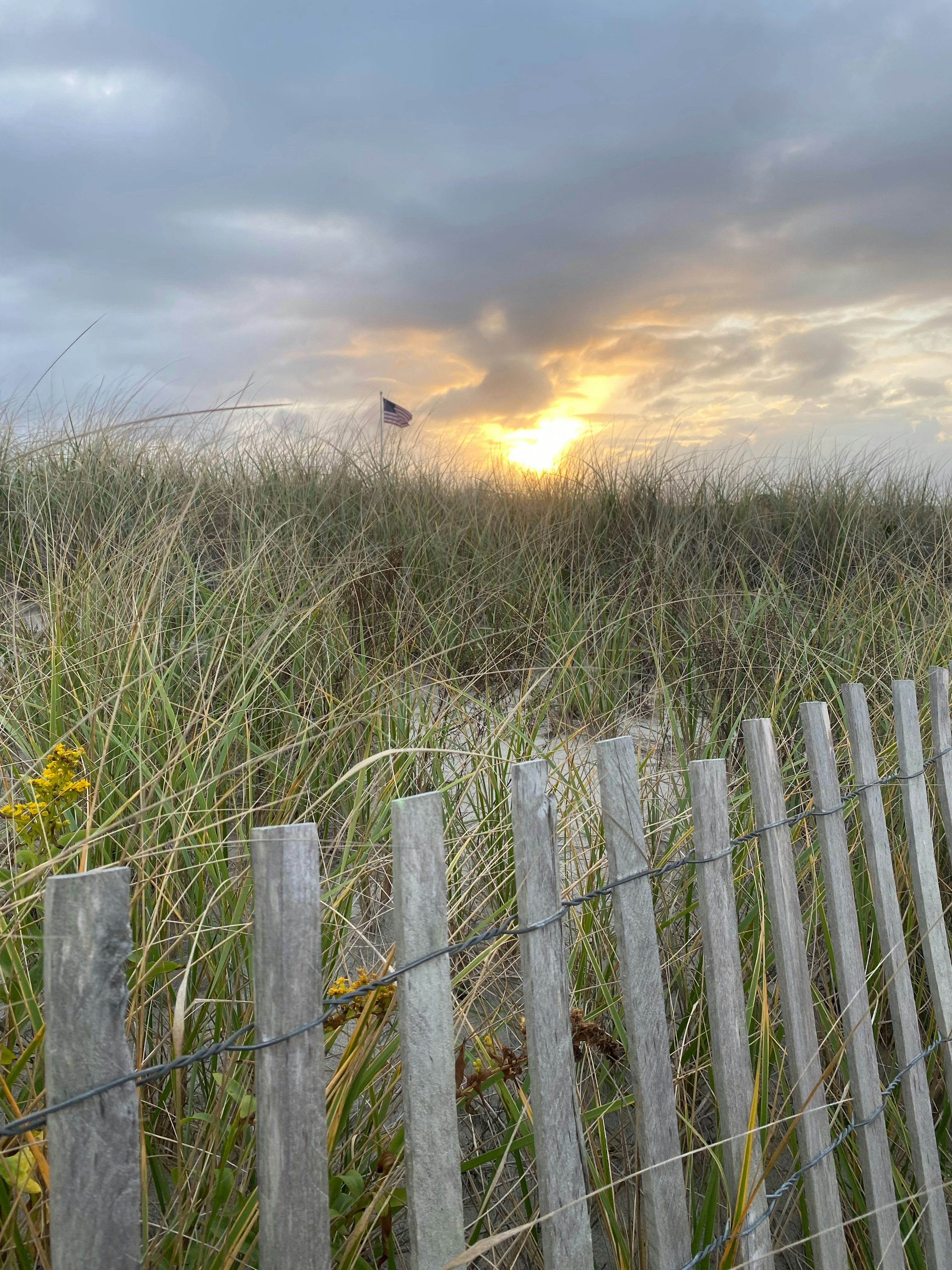 Photo by atiliarmadilla