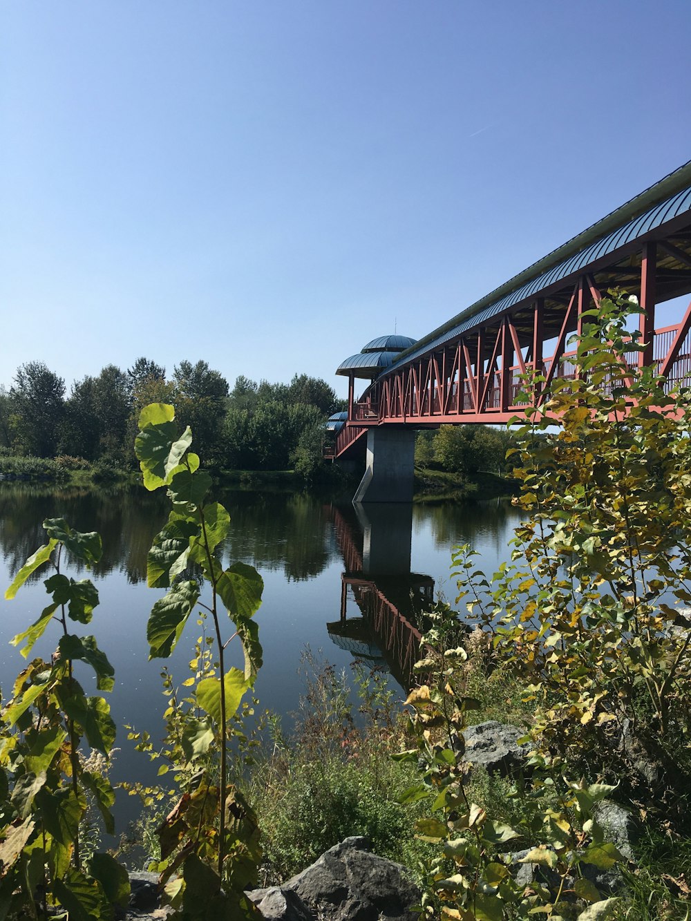 a bridge over a body of water near a forest