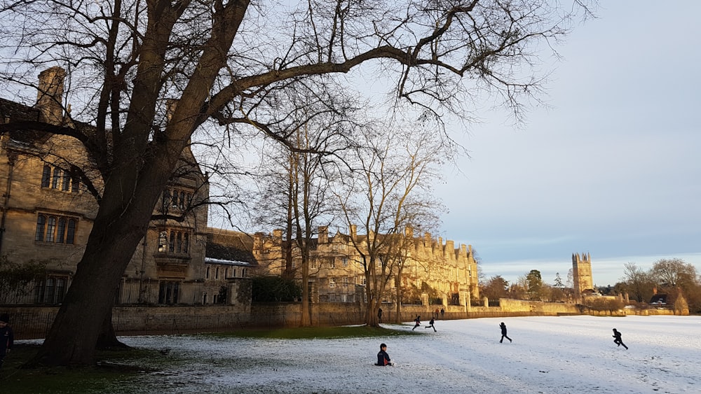 a group of people are playing in the snow