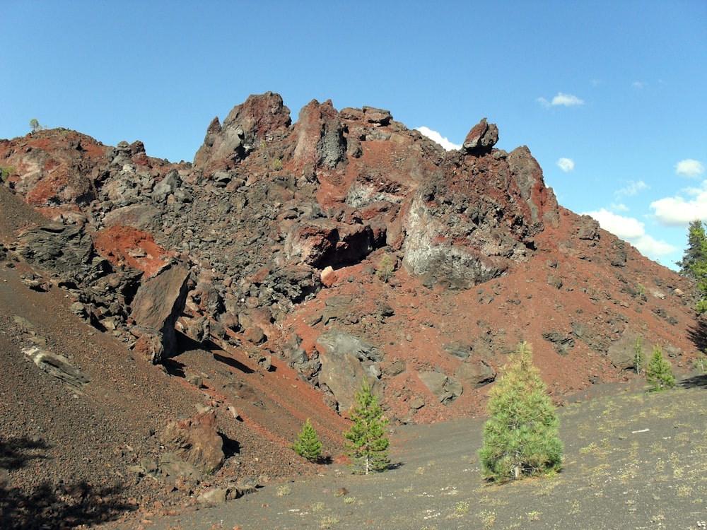 a rocky mountain with trees on the side of it