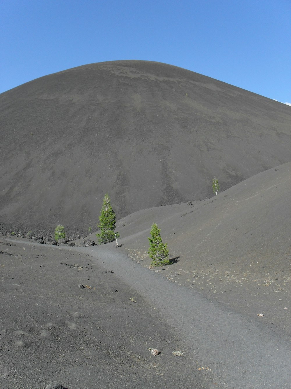 a dirt hill with trees on the side of it