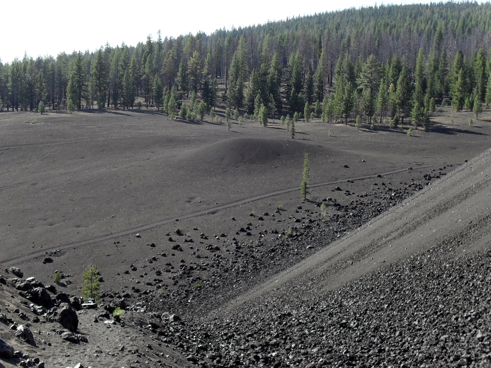 a dirt field with trees in the background