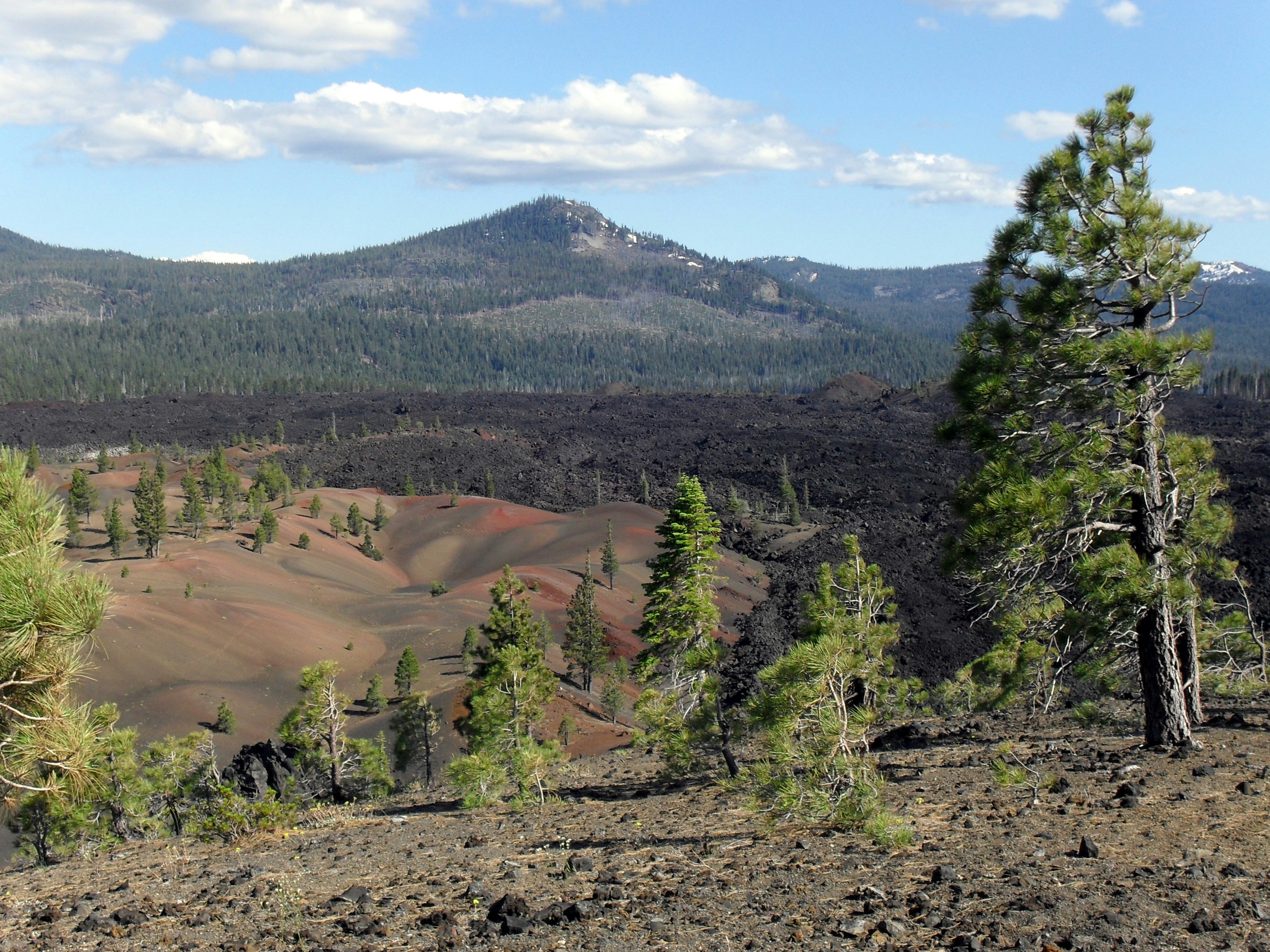 a view of a mountain range with trees in the foreground, 