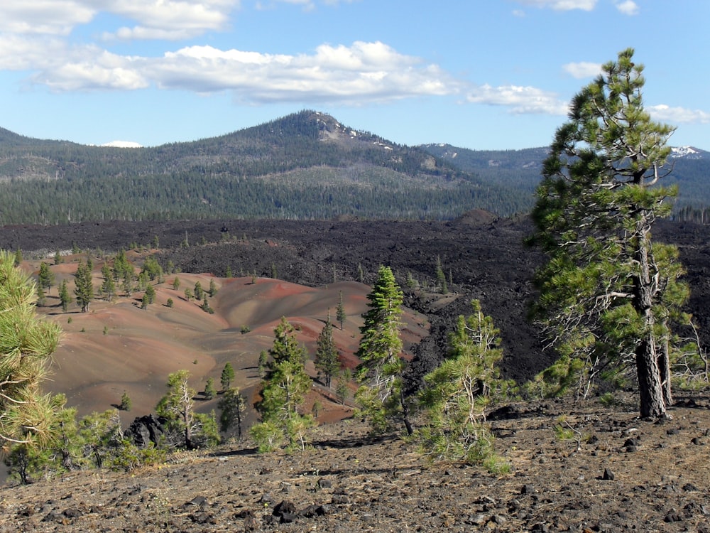 a view of a mountain range with trees in the foreground