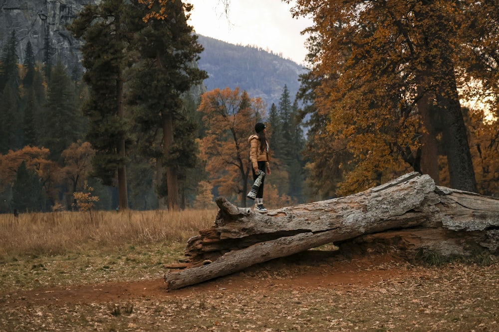 a man standing on top of a fallen tree