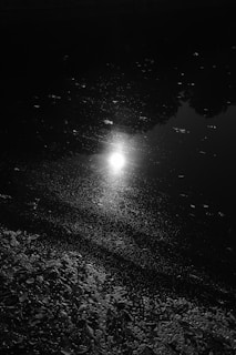 Bright light reflecting off a dark water surface, with scattered leaves and debris floating on it. The surrounding environment is dim, creating a stark contrast between the light and the darkness. The light source appears central in the image, and the shadows cast by trees or structures are visible.