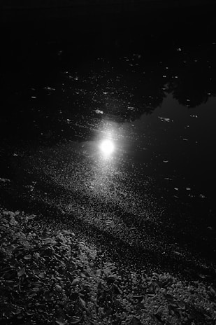 Bright light reflecting off a dark water surface, with scattered leaves and debris floating on it. The surrounding environment is dim, creating a stark contrast between the light and the darkness. The light source appears central in the image, and the shadows cast by trees or structures are visible.