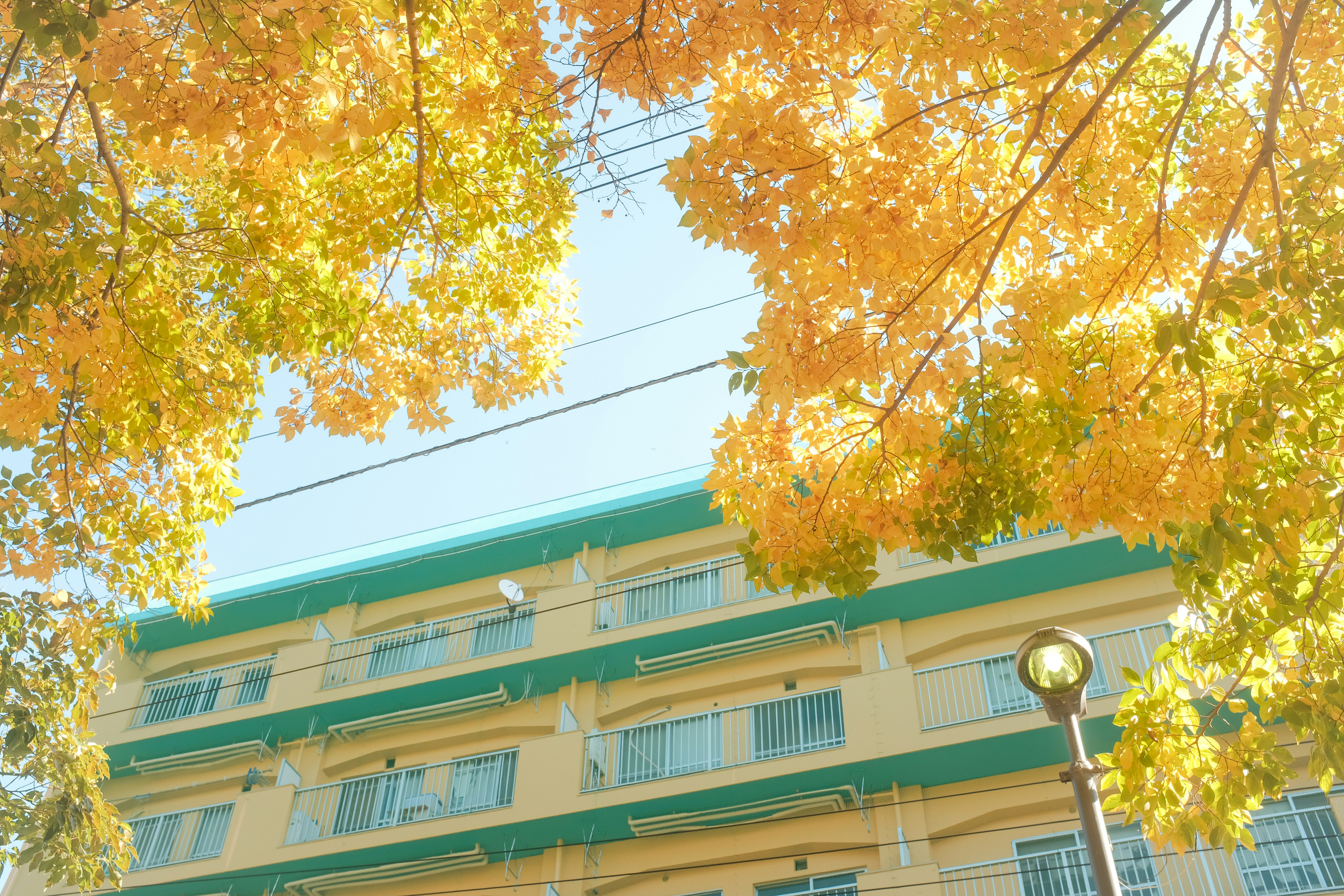 Photo by mak_jp