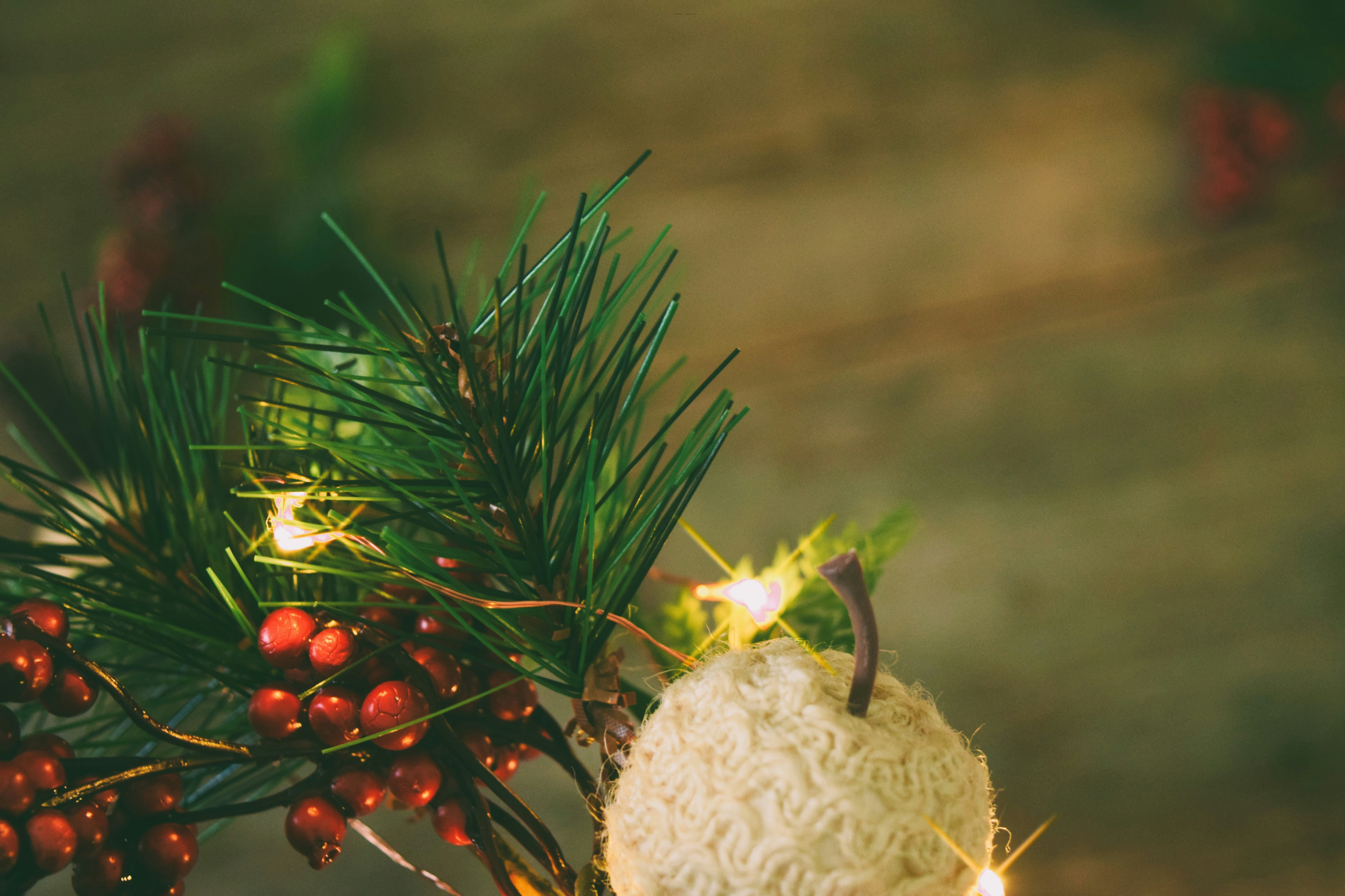 Photo by ch_photography