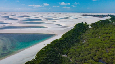 an aerial view of a sandy beach surrounded by trees
