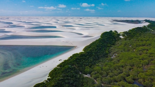 an aerial view of a sandy beach surrounded by trees
