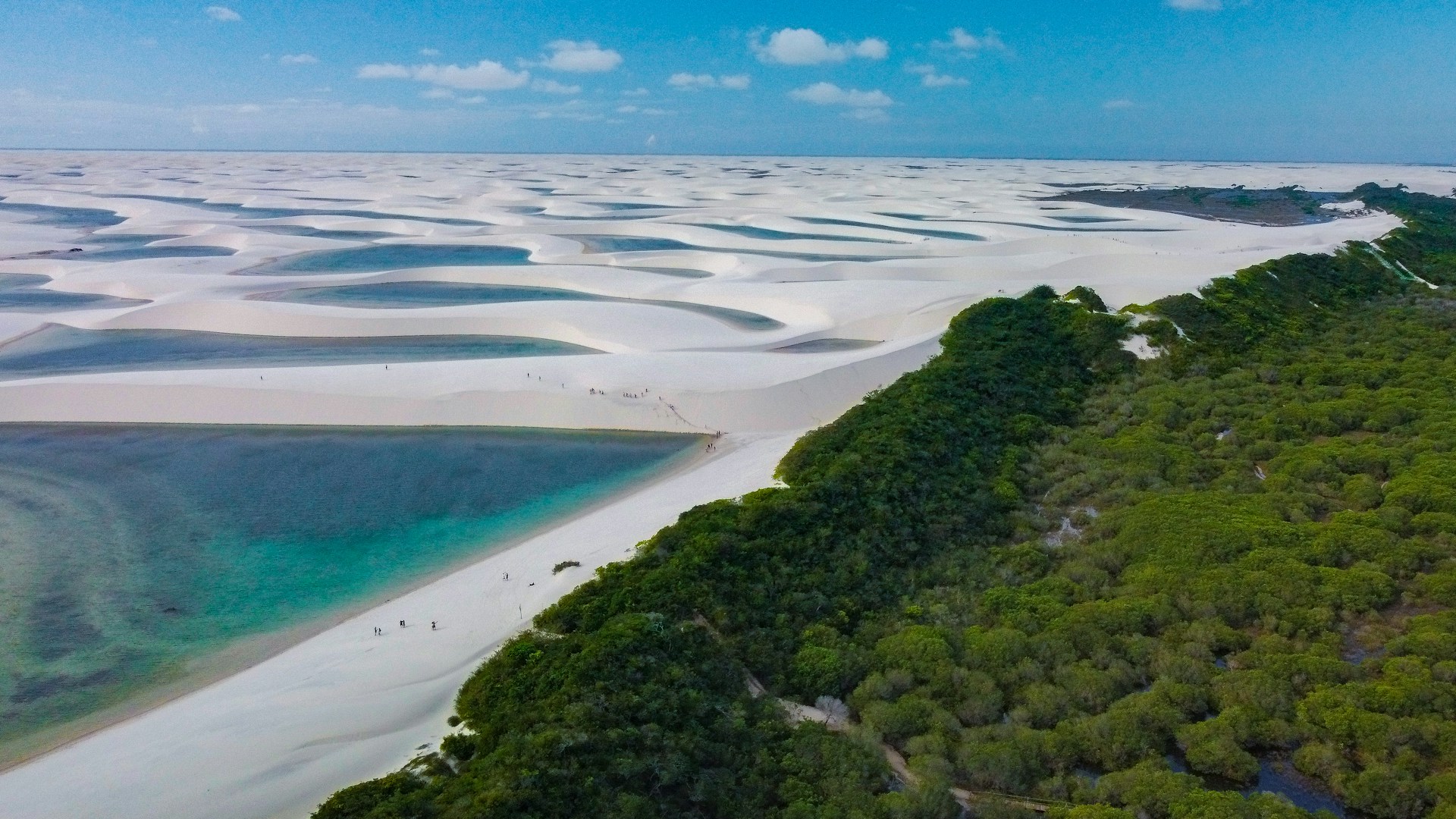 an aerial view of a sandy beach surrounded by trees