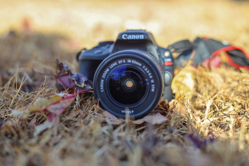 a camera sitting on top of a grass covered field