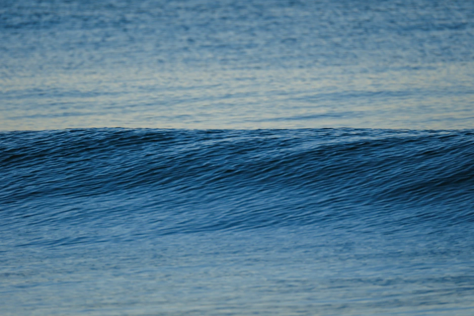 A clean, modern hero image showing a calm ocean teal background with a simple clam shell icon and a checkmark symbolizing trust and solutions.