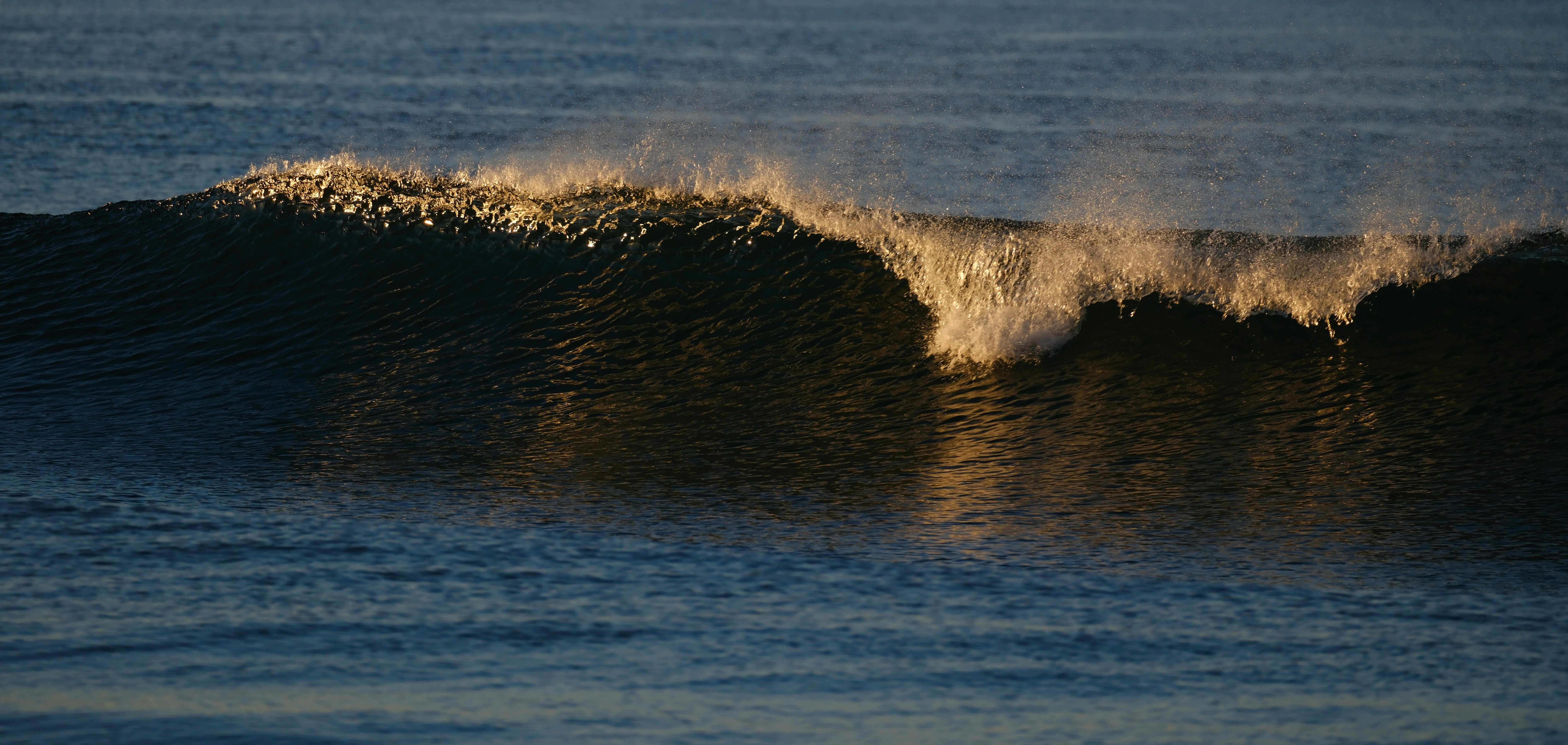 Photo by cestmoisheedy